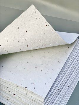 Nasiona na papierze A4 (nasiona lnu)