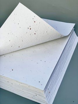 Papier nasienny A4 (nasiona pomidor&oacute;w)