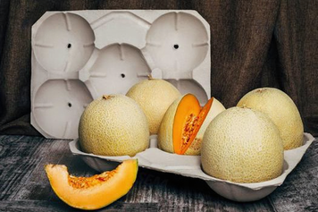 🍈 Tacka na melony 600&times;400