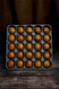 🥝 Tacka na kiwi 600&times;400