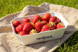 🍓 Tacka Unitray 400S