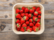 🍓 Tacka UNITRAY 1000