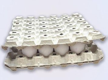 🥚 Tacka CARGO TOP TA