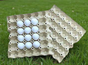 🥚 Tacka EUROTRAY 30