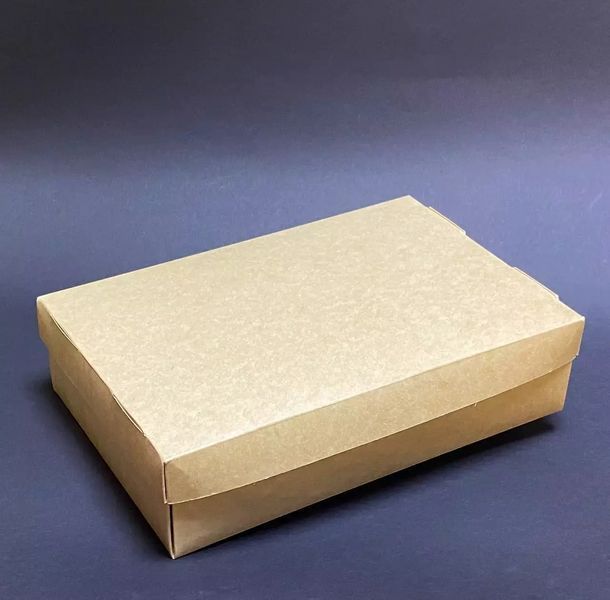 Pudełko z pokrywką spożywcze 23х15х5 cm. - 1490 ml