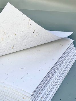 Papier nasienny A4 (mieszanka nasion)