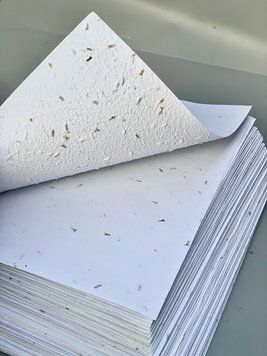 Nasiona papier A4 (nasiona chabra bławatka)